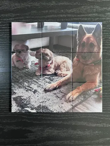 9-Magnet Puzzle