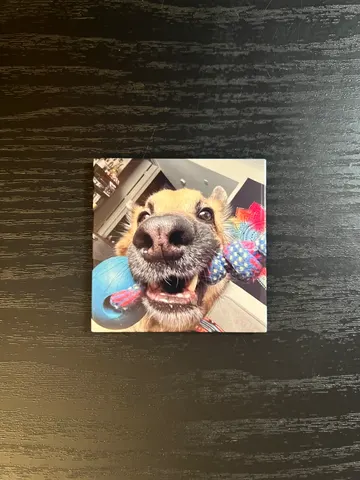 1 Magnet